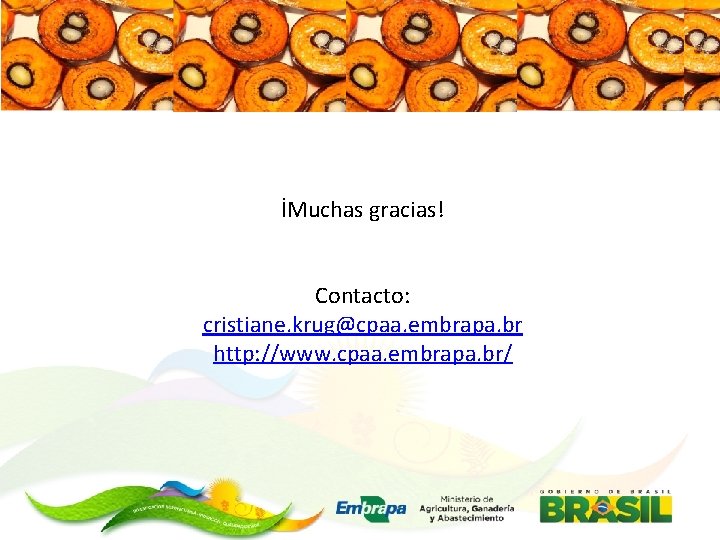 İMuchas gracias! Contacto: cristiane. krug@cpaa. embrapa. br http: //www. cpaa. embrapa. br/ 