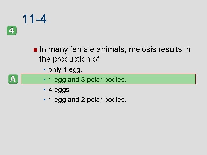 11 -4 In many female animals, meiosis results in the production of • •