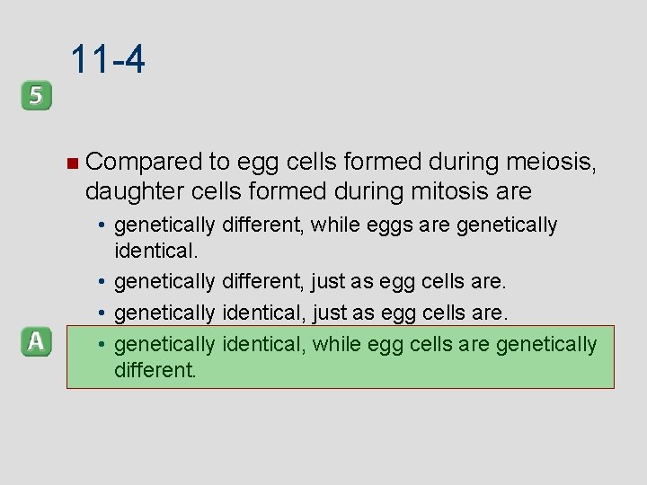 11 -4 Compared to egg cells formed during meiosis, daughter cells formed during mitosis