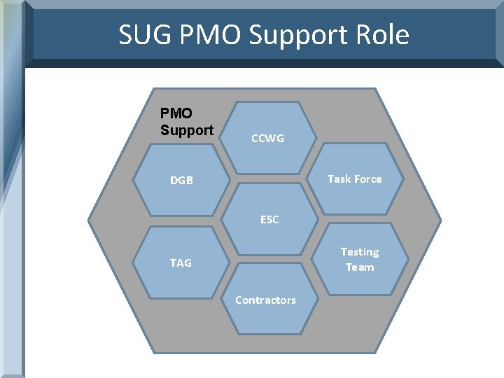 SUG PMO Support Role PMO Support CCWG Task Force DGB ESC Testing Team TAG