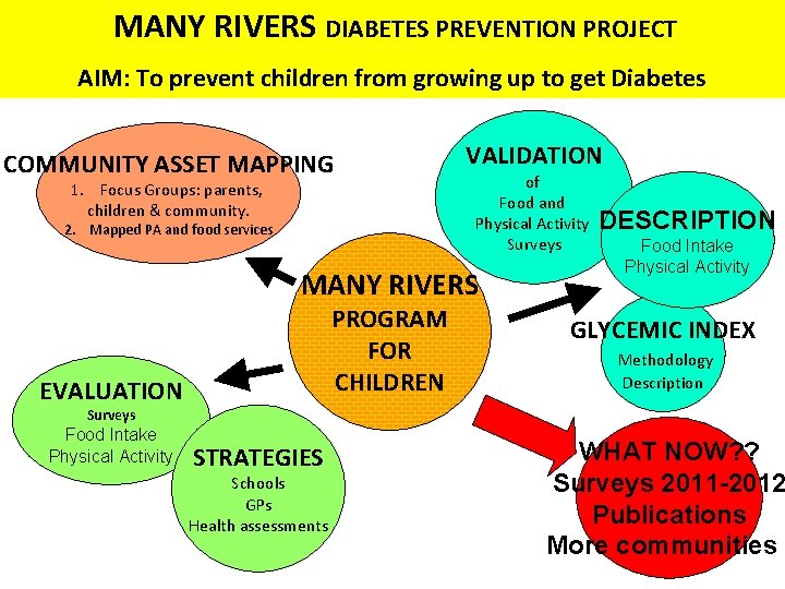 MANY RIVERS DIABETES PREVENTION PROJECT AIM: To prevent children from growing up to get