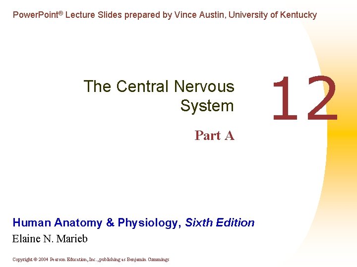 Power. Point® Lecture Slides prepared by Vince Austin, University of Kentucky The Central Nervous