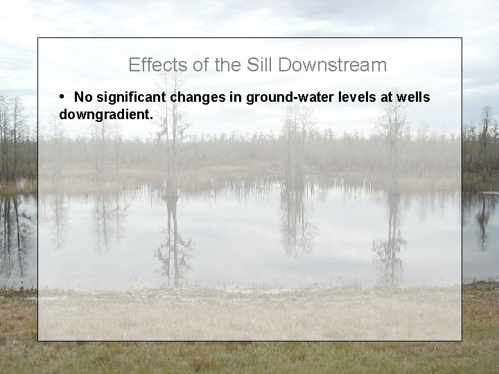 Effects of the Sill Downstream • No significant changes in ground-water levels at wells