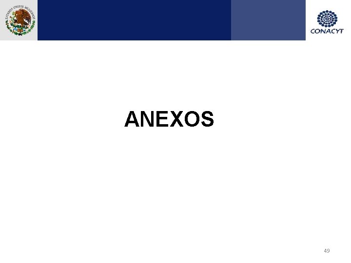 ANEXOS 49 