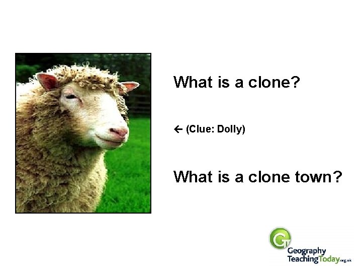 What is a clone? (Clue: Dolly) What is a clone town? 