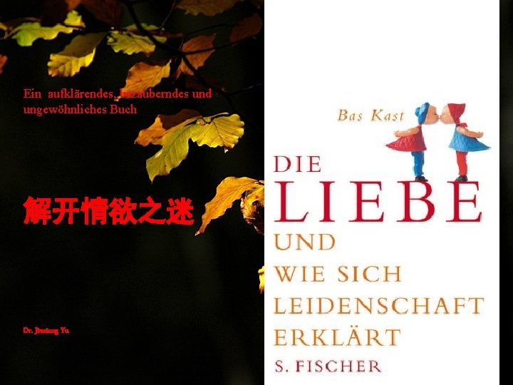 Ein aufklärendes, bezauberndes und ungewöhnliches Buch 解开情欲之迷 Dr. Jinxiang Yu 