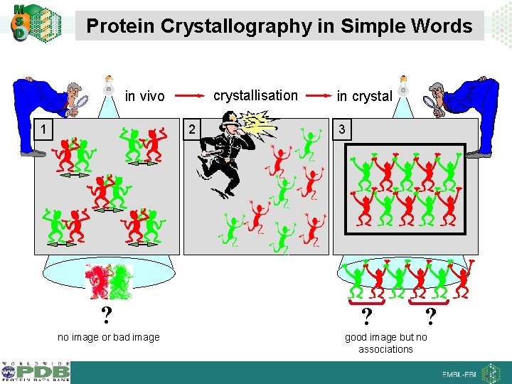 Protein Crystallography in Simple Words crystallisation in vivo 1 2 ? no image or