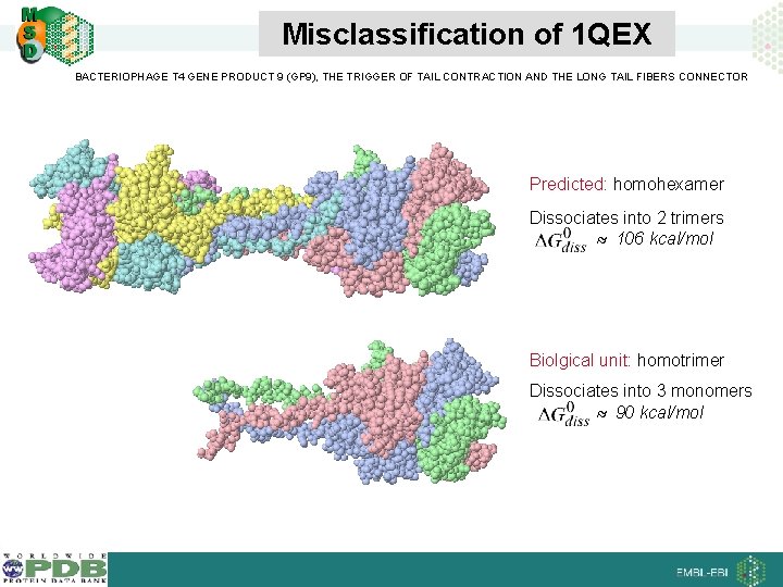 Misclassification of 1 QEX BACTERIOPHAGE T 4 GENE PRODUCT 9 (GP 9), THE TRIGGER