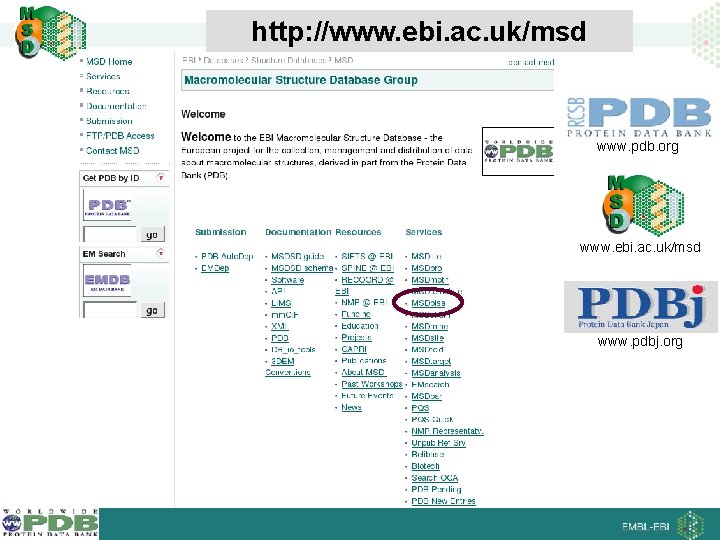 http: //www. ebi. ac. uk/msd www. pdb. org www. ebi. ac. uk/msd www. pdbj.