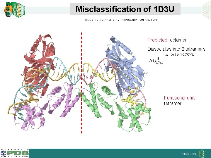 Misclassification of 1 D 3 U TATA-BINDING PROTEIN / TRANSCRIPTION FACTOR Predicted: octamer Dissociates