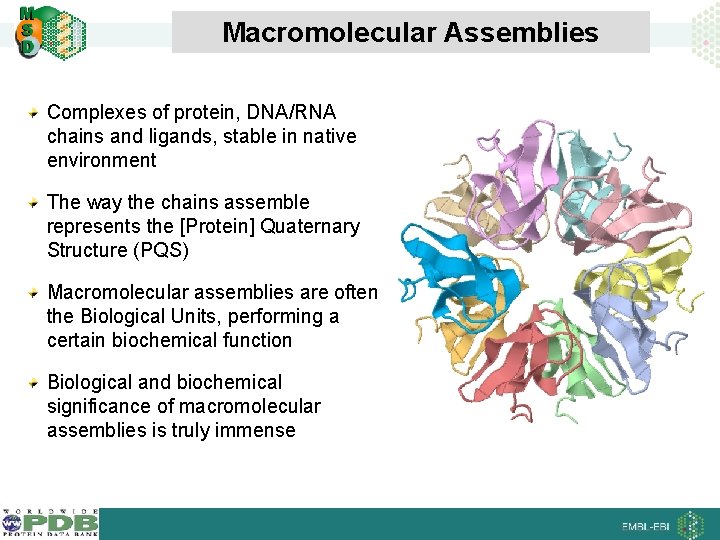 Macromolecular Assemblies Complexes of protein, DNA/RNA chains and ligands, stable in native environment The