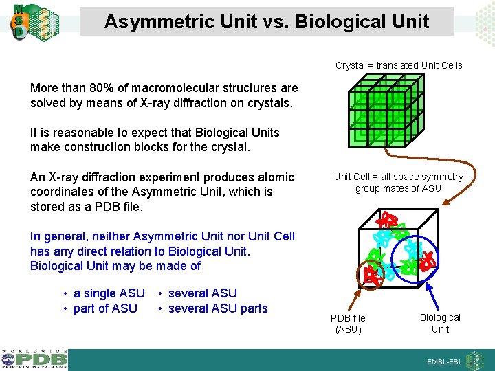 Asymmetric Unit vs. Biological Unit Crystal = translated Unit Cells More than 80% of