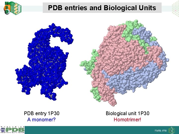 PDB entries and Biological Units PDB entry 1 P 30 A monomer? Biological unit