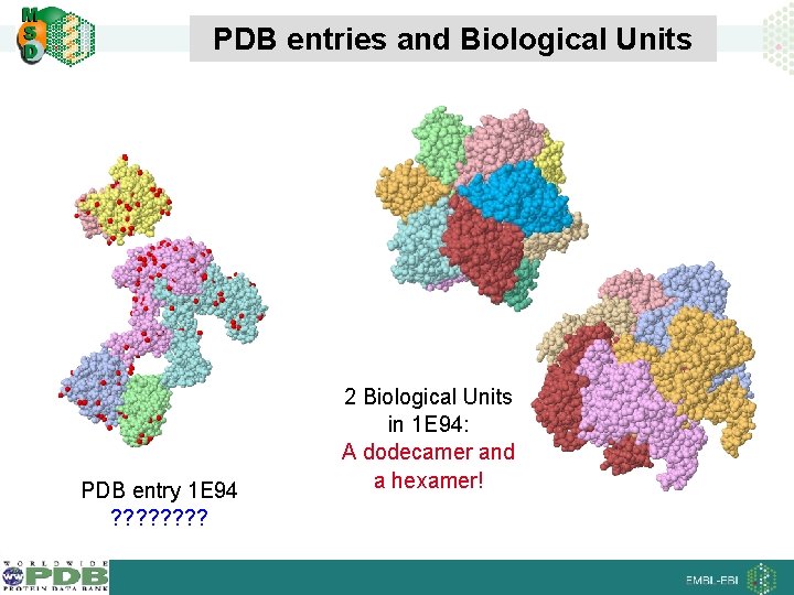 PDB entries and Biological Units PDB entry 1 E 94 ? ? ? ?