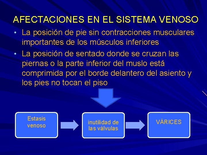 AFECTACIONES EN EL SISTEMA VENOSO • La posición de pie sin contracciones musculares importantes AFECTACIONES EN EL SISTEMA VENOSO • La posición de pie sin contracciones musculares importantes
