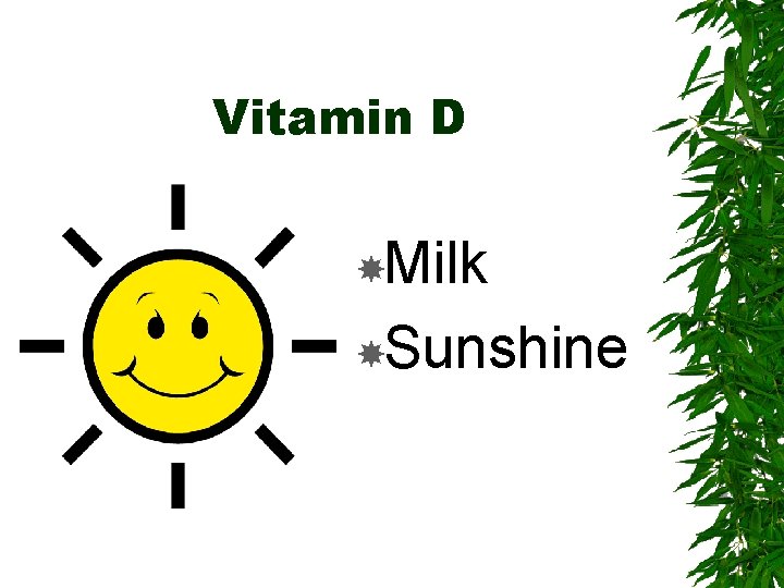 Vitamin D Milk Sunshine 