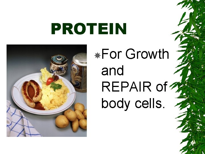 PROTEIN For Growth and REPAIR of body cells. 