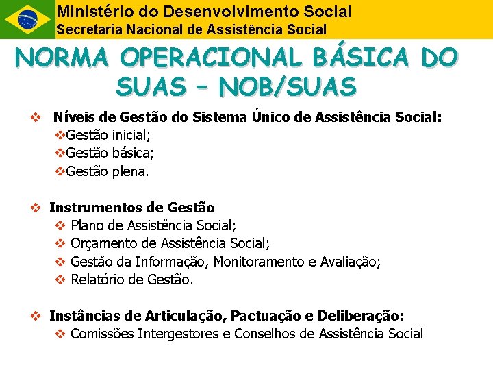Ministério do Desenvolvimento Social Secretaria Nacional de Assistência Social NORMA OPERACIONAL BÁSICA DO SUAS