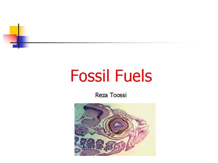 Fossil Fuels Reza Toossi 