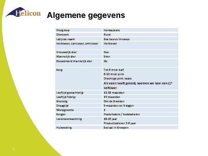 Algemene gegevens Diergroep Diersoort Latijnse naam Herbivoor, carnivoor, omnivoor Herkauwers Rund Bos taurus linnaeus