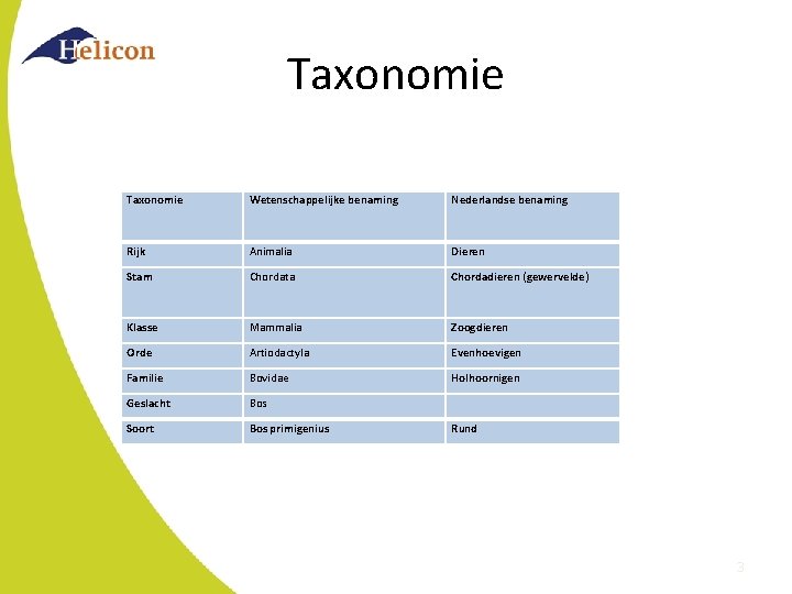 Taxonomie Wetenschappelijke benaming Nederlandse benaming Rijk Animalia Dieren Stam Chordata Chordadieren (gewervelde) Klasse Mammalia