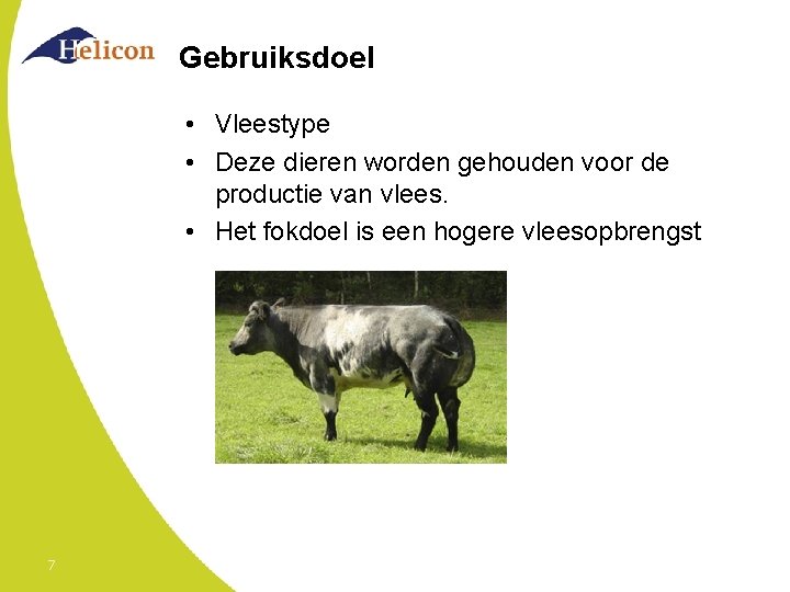 Gebruiksdoel • Vleestype • Deze dieren worden gehouden voor de productie van vlees. •