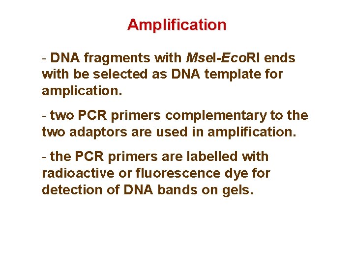Amplification - DNA fragments with Mse. I-Eco. RI ends with be selected as DNA