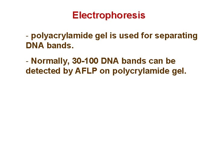 Electrophoresis - polyacrylamide gel is used for separating DNA bands. - Normally, 30 -100