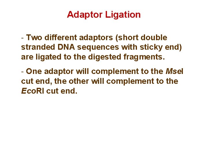 Adaptor Ligation - Two different adaptors (short double stranded DNA sequences with sticky end)