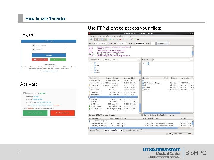 How to use Thunder Use FTP client to access your files: Log in: Activate: How to use Thunder Use FTP client to access your files: Log in: Activate: