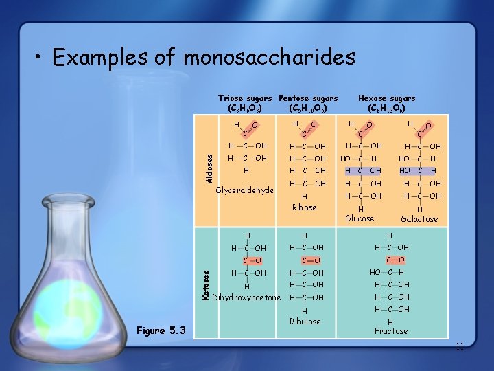  • Examples of monosaccharides Triose sugars Pentose sugars (C 3 H 6 O