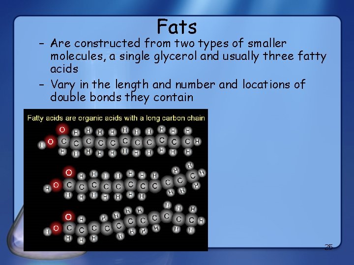 Fats – Are constructed from two types of smaller molecules, a single glycerol and