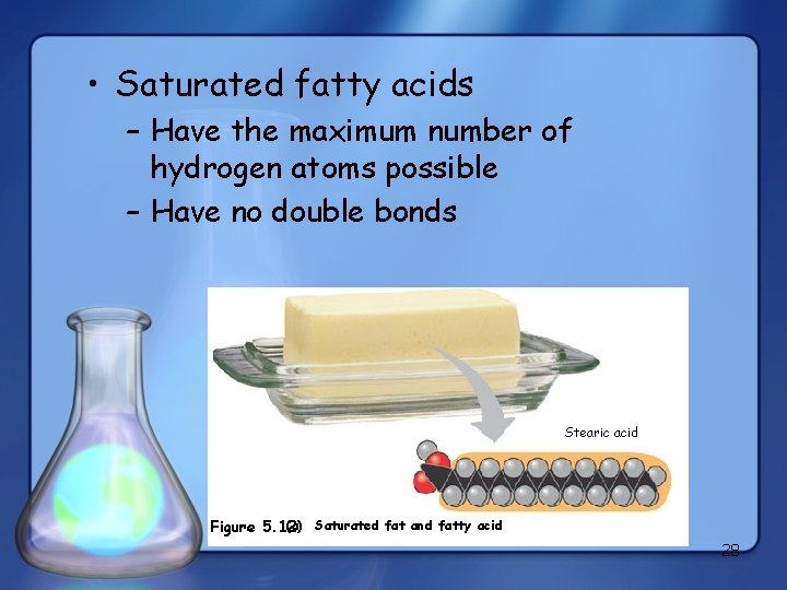  • Saturated fatty acids – Have the maximum number of hydrogen atoms possible