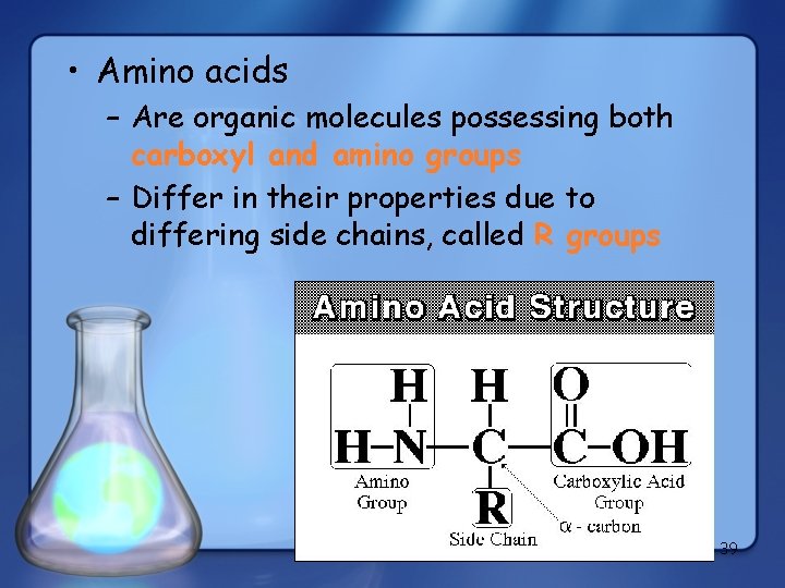  • Amino acids – Are organic molecules possessing both carboxyl and amino groups