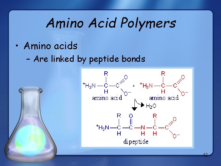 Amino Acid Polymers • Amino acids – Are linked by peptide bonds 42 