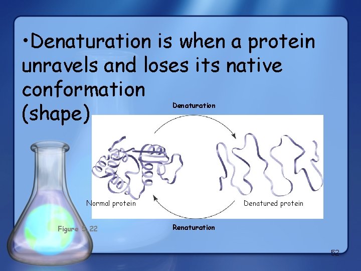  • Denaturation is when a protein unravels and loses its native conformation (shape)