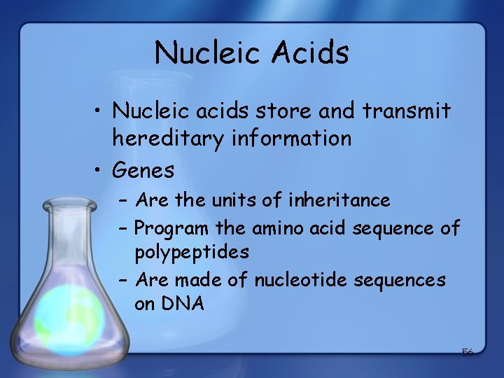Nucleic Acids • Nucleic acids store and transmit hereditary information • Genes – Are
