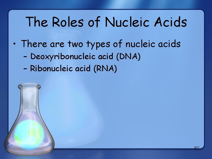 The Roles of Nucleic Acids • There are two types of nucleic acids –