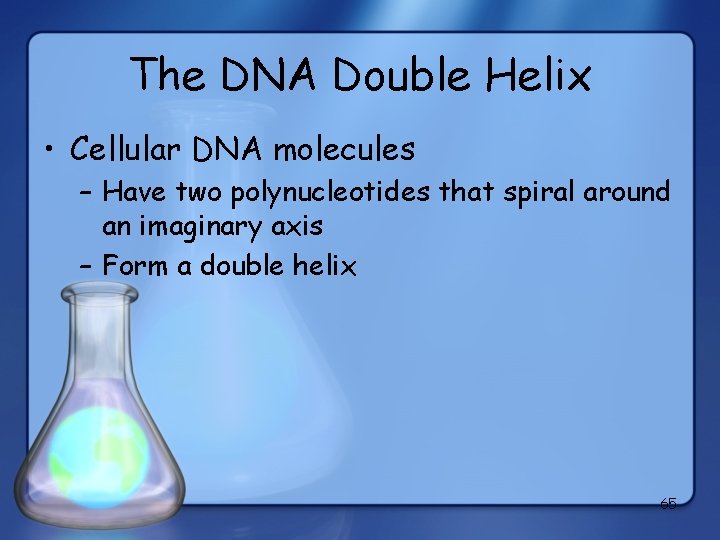 The DNA Double Helix • Cellular DNA molecules – Have two polynucleotides that spiral