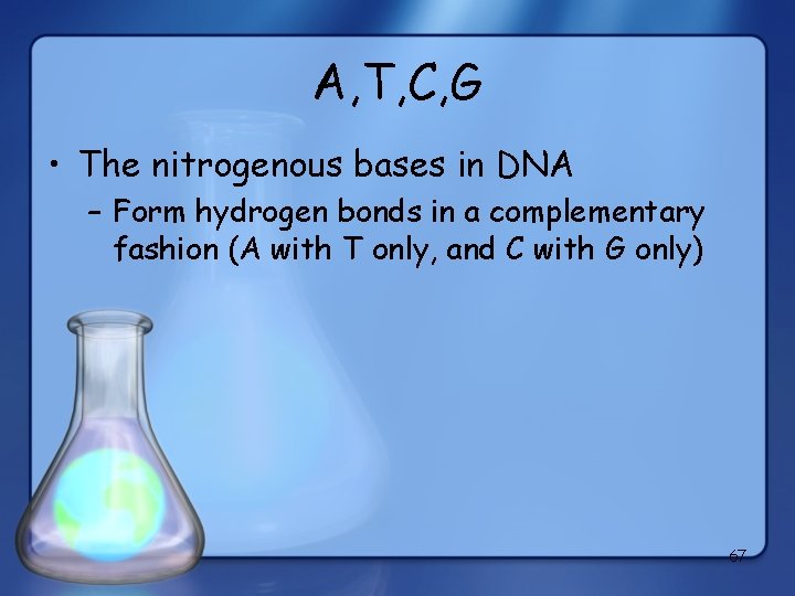 A, T, C, G • The nitrogenous bases in DNA – Form hydrogen bonds