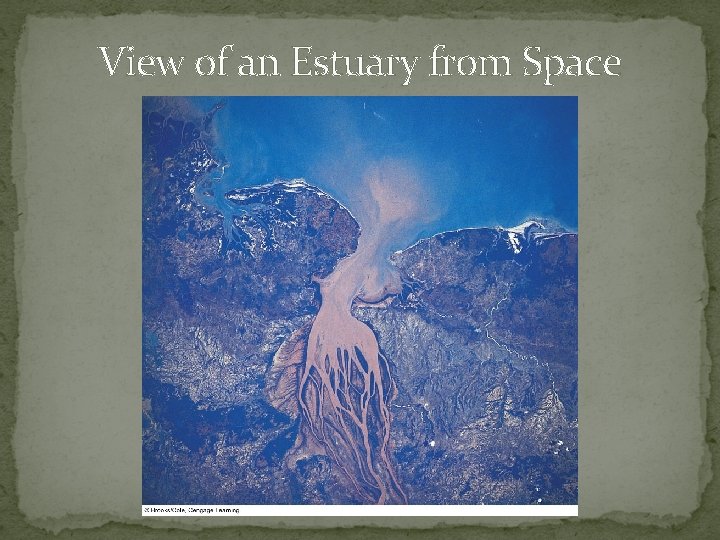 View of an Estuary from Space 