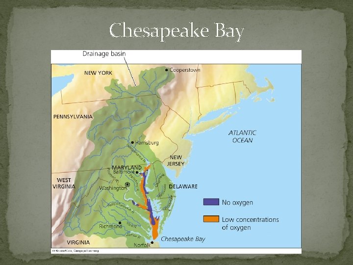 Chesapeake Bay 