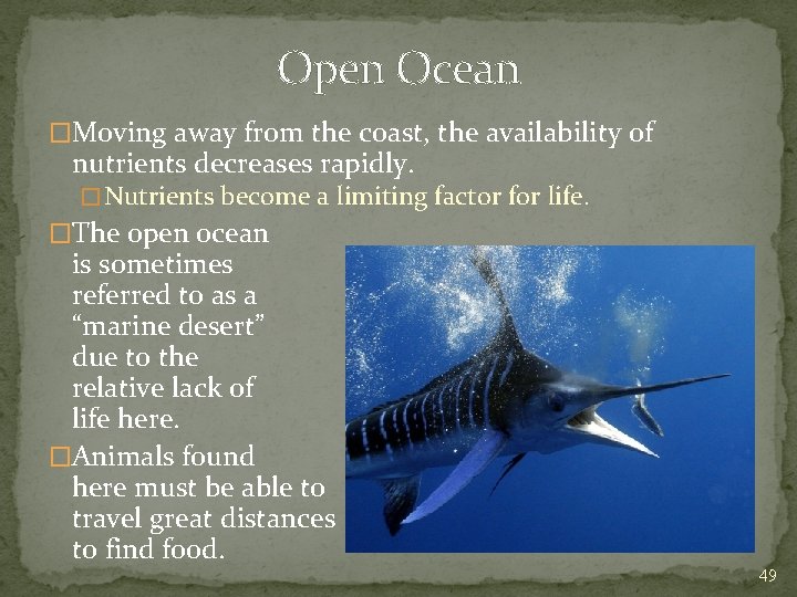 Open Ocean �Moving away from the coast, the availability of nutrients decreases rapidly. �