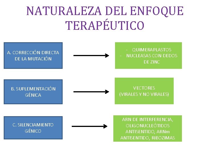 NATURALEZA DEL ENFOQUE TERAPÉUTICO A. CORRECCIÓN DIRECTA DE LA MUTACIÓN B. SUPLEMENTACIÓN GÉNICA C.
