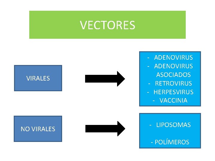 VECTORES VIRALES NO VIRALES - ADENOVIRUS ASOCIADOS - RETROVIRUS - HERPESVIRUS - VACCINIA -