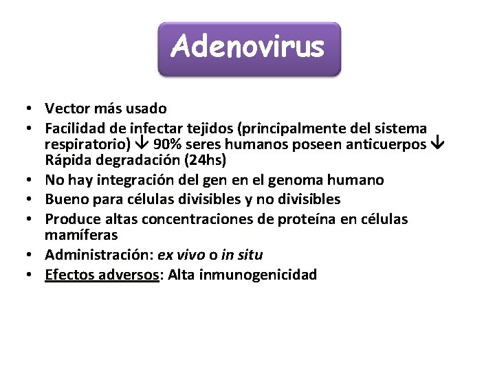 Adenovirus • Vector más usado • Facilidad de infectar tejidos (principalmente del sistema respiratorio)