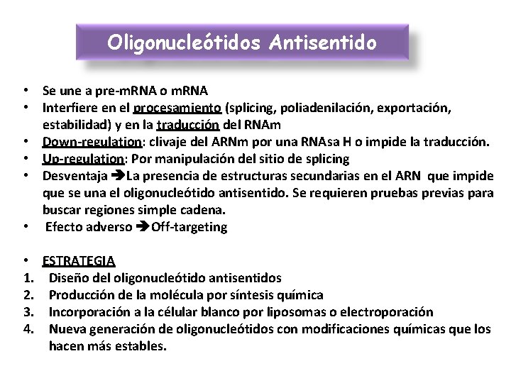 Oligonucleótidos Antisentido • Se une a pre-m. RNA o m. RNA • Interfiere en