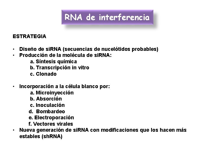 RNA de interferencia ESTRATEGIA • Diseño de si. RNA (secuencias de nucelótidos probables) •