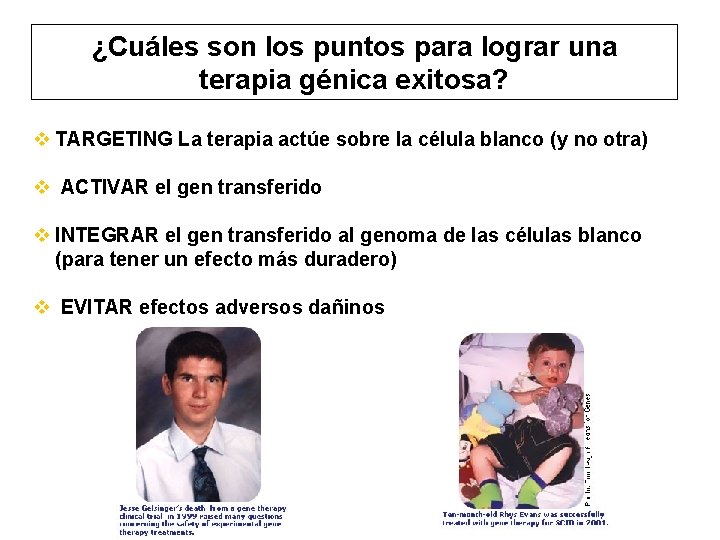 ¿Cuáles son los puntos para lograr una terapia génica exitosa? v TARGETING La terapia