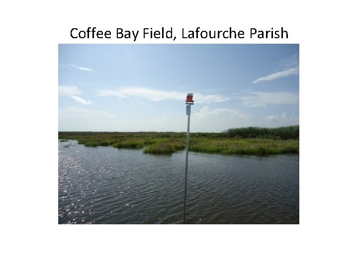 Coffee Bay Field, Lafourche Parish 
